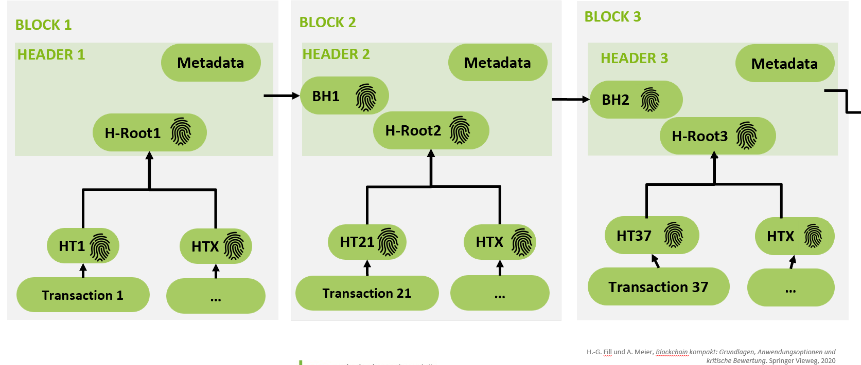 images/Struktur einer Blockchain.png